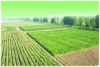 首页- 人生就是博中国官网入口