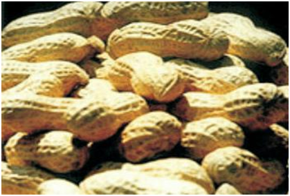 首页- 人生就是博中国官网入口