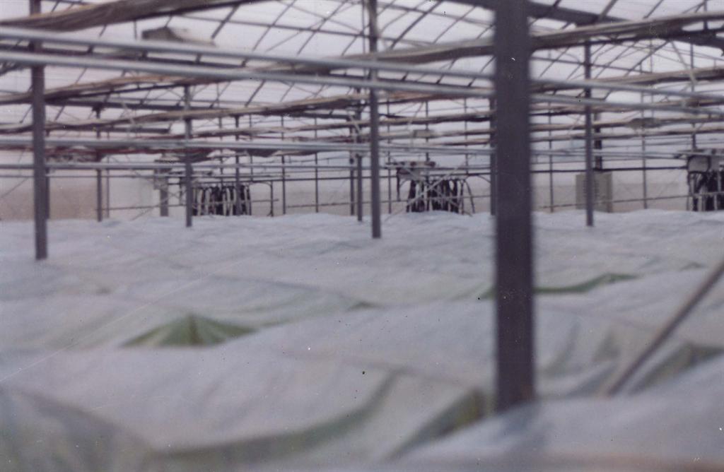 首页- 人生就是博中国官网入口